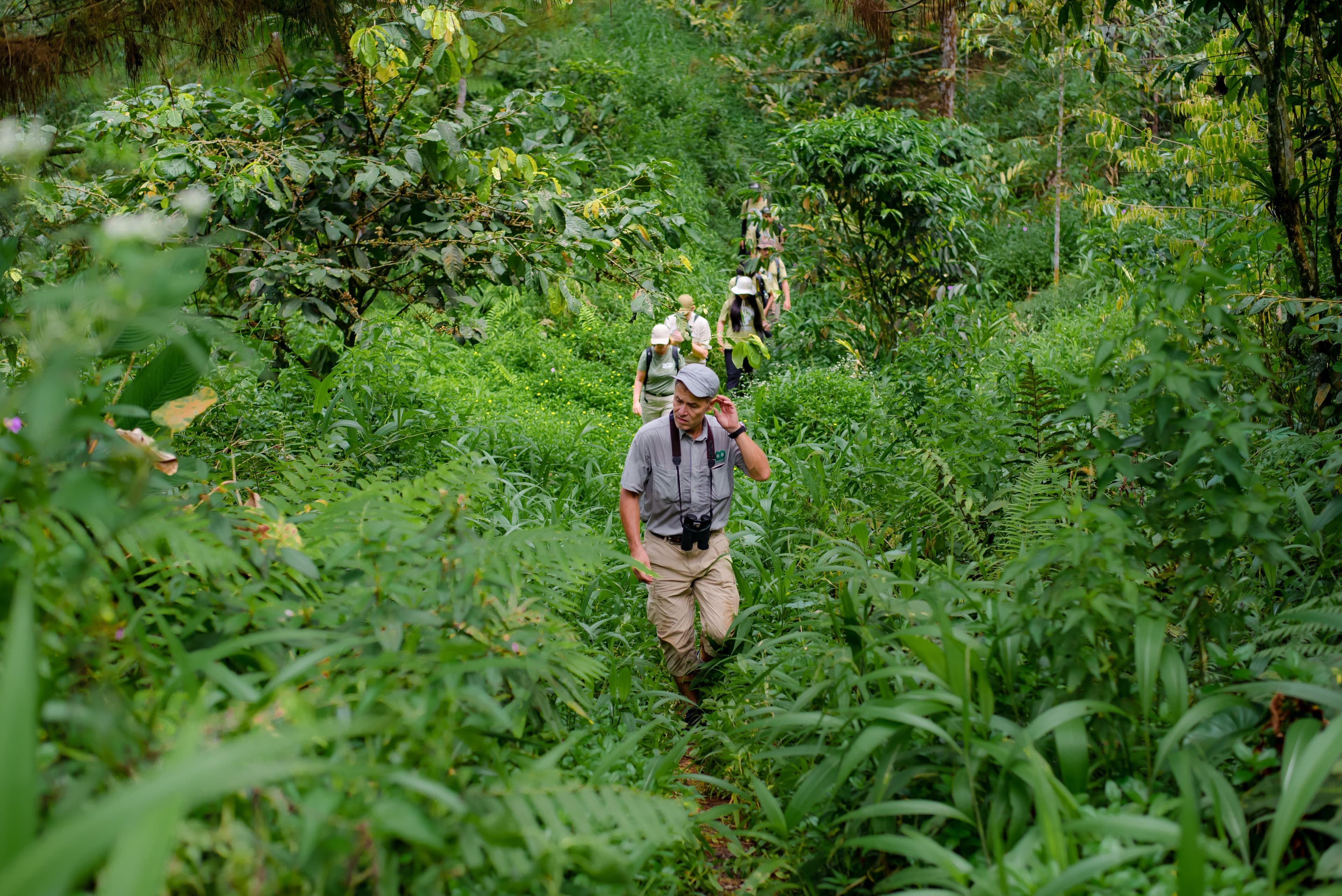 Forest conservation